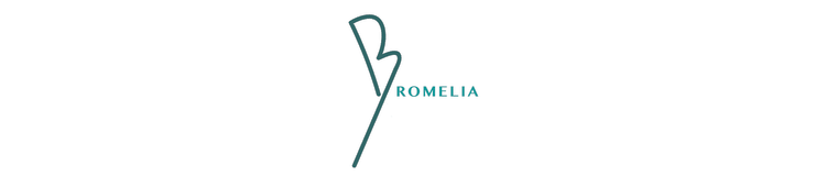 Bromelia Travel | Brazil Travel Specialists